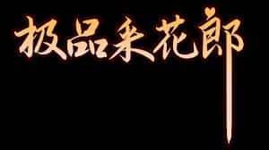 极品采花郎游戏封面
